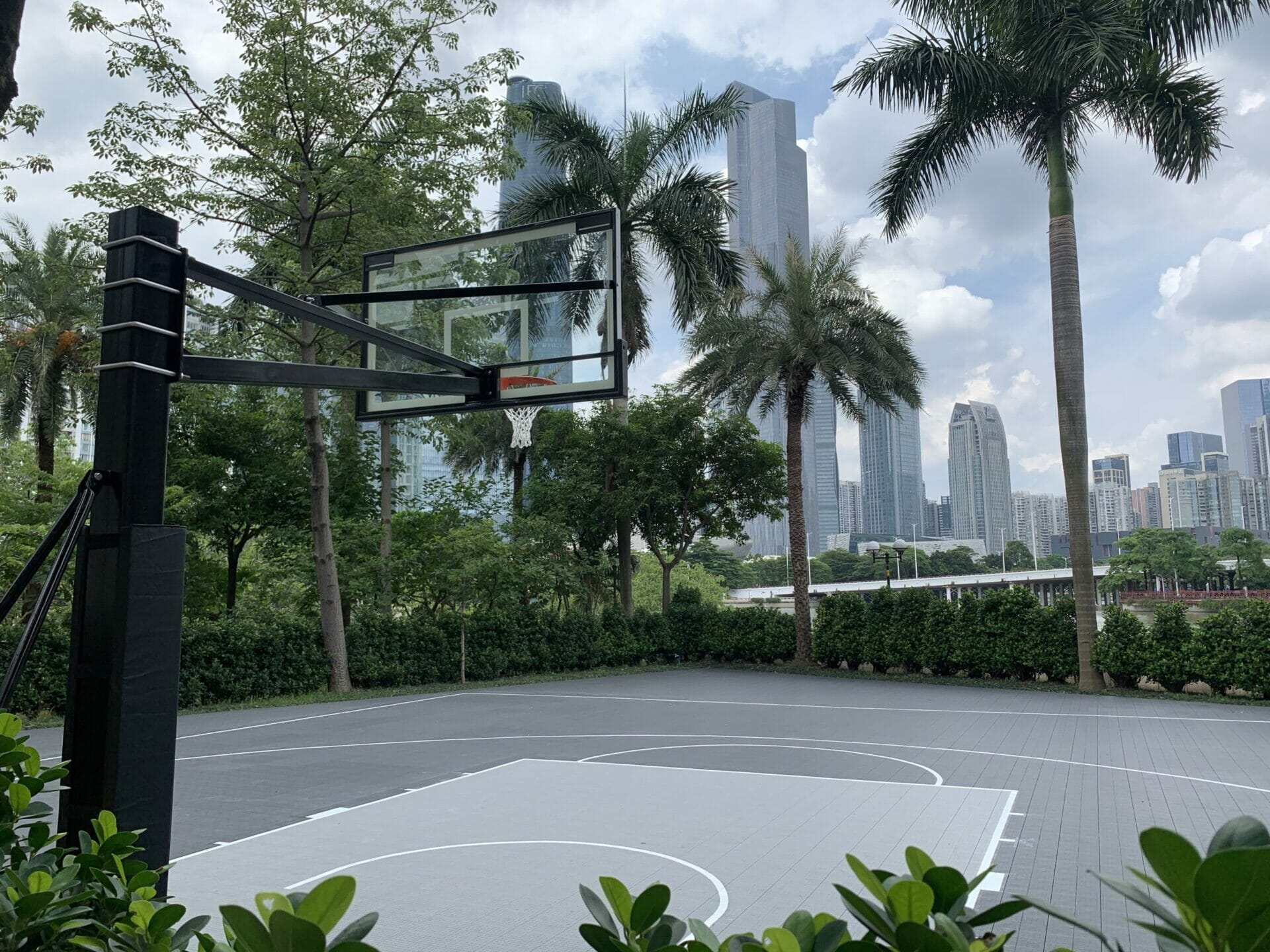 Backyard Sport court